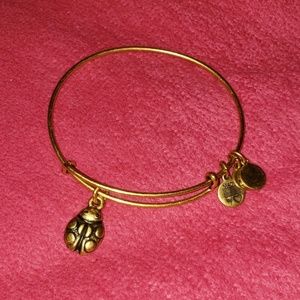 Alex and Ani Bracelet